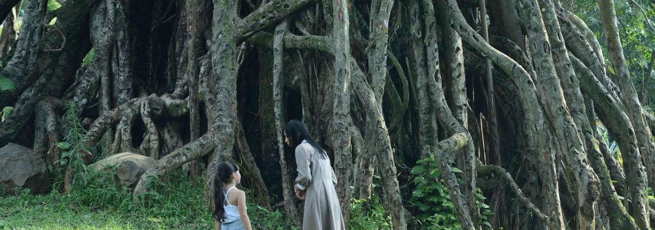 Phim Bạn Âm Ngôi Nhà Của Quỷ - Danur I Can See Ghosts PhimChill Vietsub (2017)