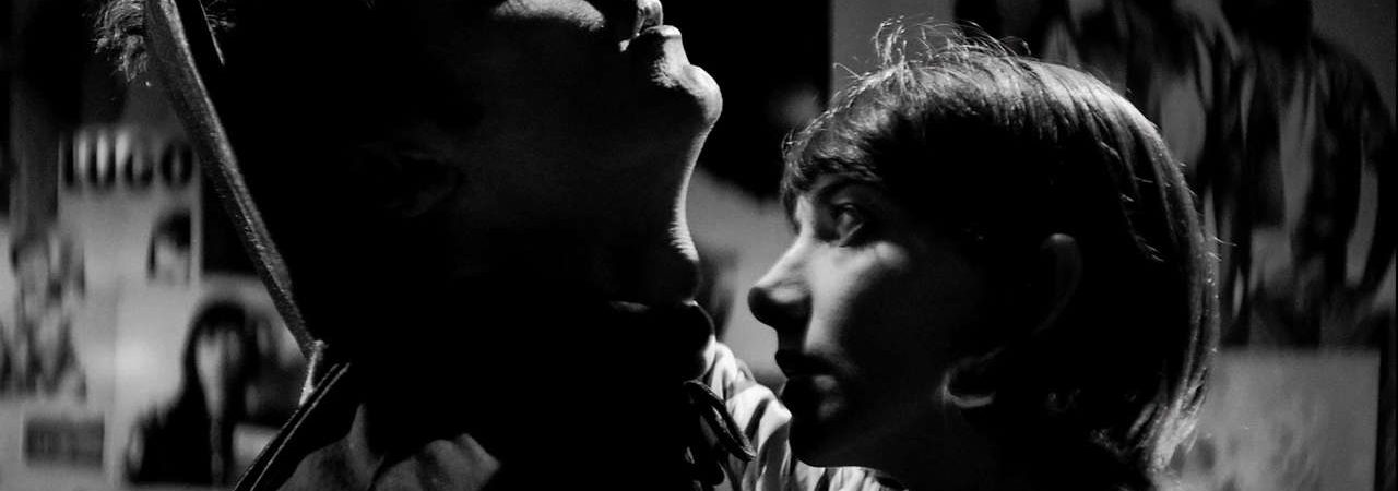 Phim Cô Gái Về Nhà Một Mình Ban Đêm - A Girl Walks Home Alone at Night PhimChill Vietsub (2014)