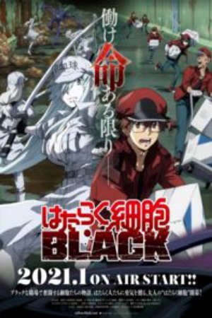 Phim Hataraku Saibou Black - Cells at Work CODE BLACK PhimChill Vietsub (2021)