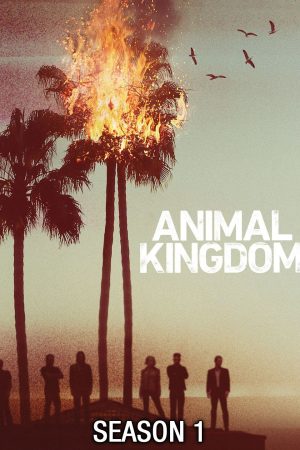 Phim Vương quốc động vật ( 1) - Animal Kingdom (Season 1) PhimChill Vietsub (2016)