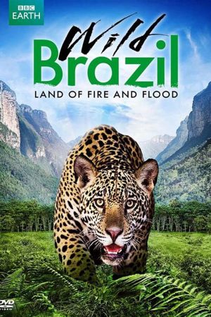 Phim Thiên Nhiên Brazil Hoang Dã - Wild Brazil PhimChill Vietsub (2014)