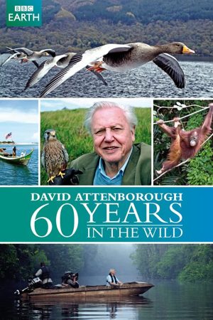 Phim 60 Năm Trong Hoang Dã - Attenborough 60 Years In The Wild PhimChill Vietsub (2012)