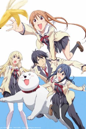 Phim Cô Nàng Ngốc Aho Girl - Aho Girl PhimChill Vietsub (2017)