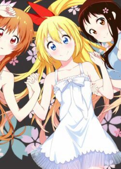 Phim Tình Yêu Ngang Trái - NiseKoi PhimChill Vietsub (2013)