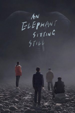 Phim Chú Voi Ngồi Im Trên Đất - An Elephant Sitting Still PhimChill Vietsub (2018)