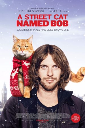 Phim Chú Mèo Đường Phố - A Street Cat Named Bob PhimChill Vietsub (2016)