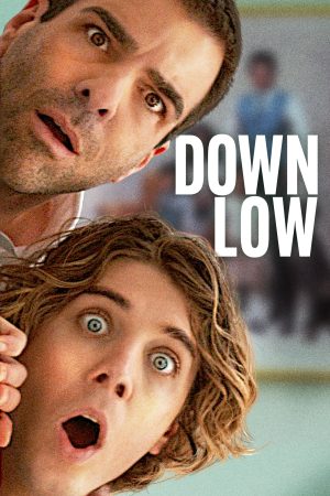 Poster of Down Low