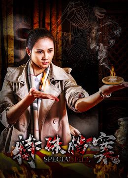 Phim Hồ sơ đặc biệt - Special File PhimChill Vietsub (2018)