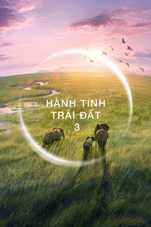 Xem phim Hành Tinh Trái Đất 3 tập 2 PhimChill Thuyết Minh HD Vietsub Phim Mỹ-Planet Earth III