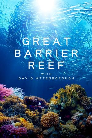 Xem phim Khám Phá Rạn San Hô Great Barrier cùng David Attenborough tập 03 PhimChill Thuyết Minh HD Vietsub Phim Anh-Great Barrier Reef with David Attenborough