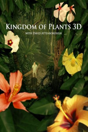 Phim Kingdom of Plants - Kingdom of Plants PhimChill Vietsub (2012)