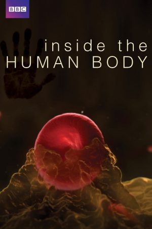 Xem phim Inside the Human Body tập 02 PhimChill Thuyết Minh HD Vietsub Phim Anh-Inside the Human Body