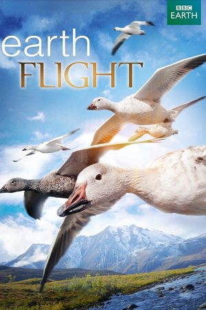 Poster of Earthflight