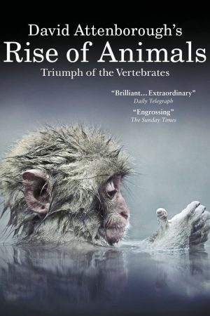 Phim David Attenboroughs Rise of Animals Triumph of the Vertebrates - David Attenboroughs Rise of Animals Triumph of the Vertebrates PhimChill Vietsub (2013)