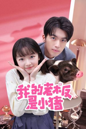 Xem phim Sếp Của Tôi Là Chú Lợn Nhỏ tập 10 PhimChill Thuyết Minh HD Vietsub Phim Trung Quốc-My Piggy Boss