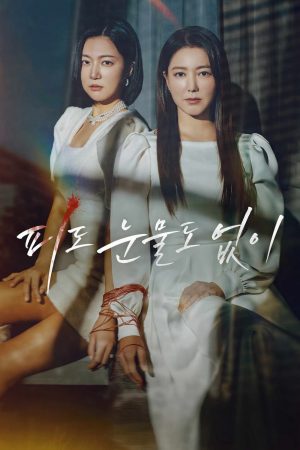 Xem phim Máu Lạnh tập 14 PhimChill Thuyết Minh HD Vietsub Phim Hàn Quốc-The Two Sisters In Cold Blood