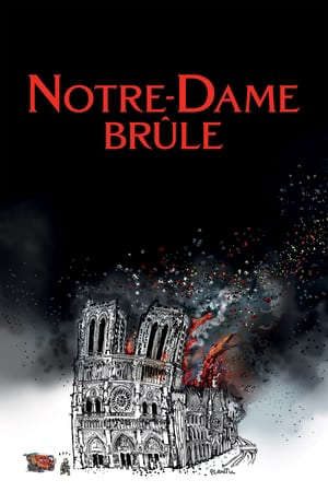 Phim Vụ Cháy Ở Pari - Notre Dame Brûle PhimChill Vietsub (2022)