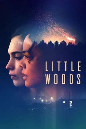 Phim Lằn Ranh Số Phận - Little Woods PhimChill Vietsub (2019)