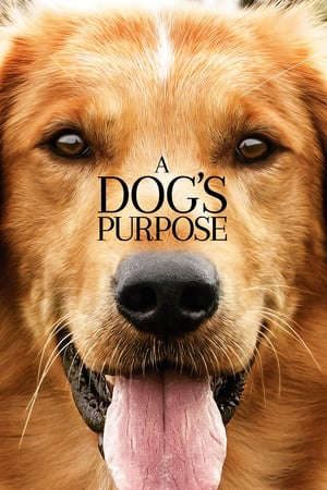 Phim Mục Đích Sống Của Một Chú Chó - A Dogs Purpose PhimChill Vietsub (2017)