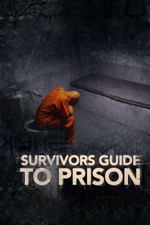 Phim Cẩm Nang Đi Tù - Survivors Guide to Prison PhimChill Vietsub (2018)