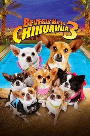 Phim Nữ Minh Tinh Và Chàng Lãng Tử - Beverly Hills Chihuahua 3 Viva La Fiesta PhimChill Vietsub (2012)