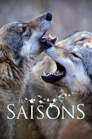 Phim Thiên Nhiên Và Nhân Loại - Seasons Les Saisons PhimChill Vietsub (2016)