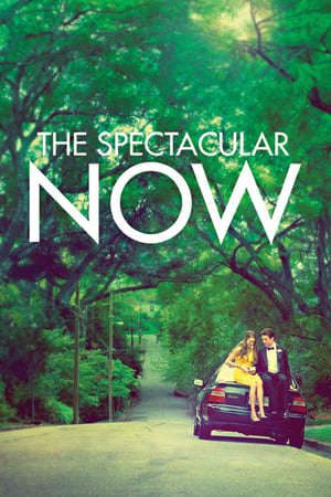 Phim Thực Tại Hoàn Mỹ - The Spectacular Now PhimChill Vietsub (2013)