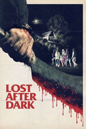 Phim Sau Bức Màn Đêm - Lost After Dark PhimChill Vietsub (2014)