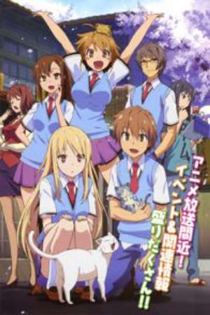 Phim Sakura sou no Pet na Kanojo - The Pet Girl of Sakurasou PhimChill Vietsub (2012)