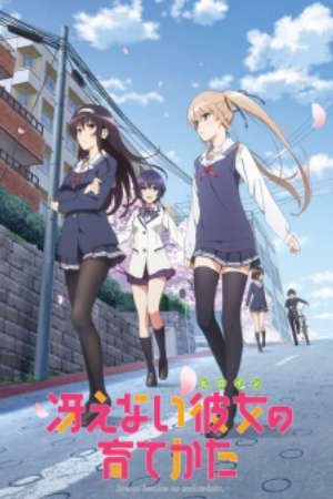 Phim Saenai Heroine no Sodatekata - Saenai Kanojo no Sodate kata Saekano How to Raise a Boring Girlfriend PhimChill Vietsub (2015)