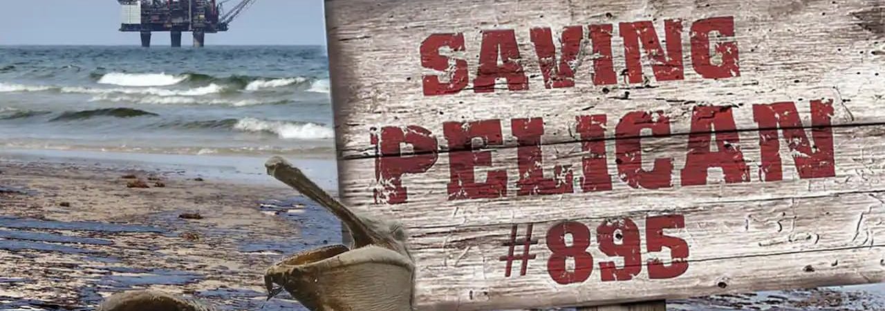 Phim Giải Cứu Chú Bồ Nông Thứ 895 - Saving Pelican 895 PhimChill Vietsub (2011)