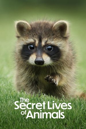 Phim Bí Ẩn Về Thế Giới Động Vật - The Secret Lives of Animals PhimChill Vietsub (2024)