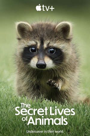 Phim Bí Ẩn Về Thế Giới Động Vật - The Secret Lives of Animals PhimChill Vietsub (2024)