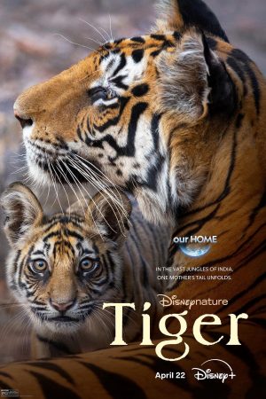 Poster of Tiger