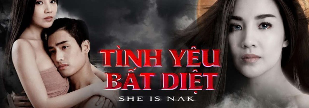 Poster of Tình Yêu Bất Diệt ( 1)