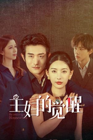 Xem phim Sự Giác Ngộ Của Bà Nội Trợ tập 11 PhimChill Thuyết Minh HD Vietsub Phim Trung Quốc-The Awakening of Housewives