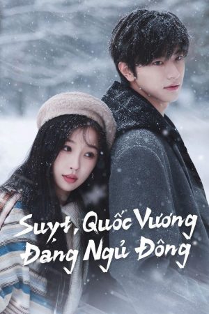 Xem phim Suỵt Quốc Vương Đang Ngủ Đông tập 5 PhimChill Thuyết Minh HD Vietsub Phim Trung Quốc-Ski into Love