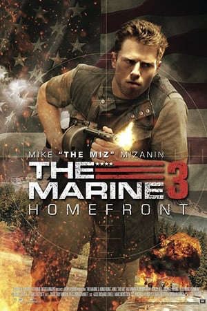 Phim Lính Thủy Đánh Bộ 3 Mặt Trận Tổ Quốc - The Marine 3 Homefront PhimChill Vietsub (2013)