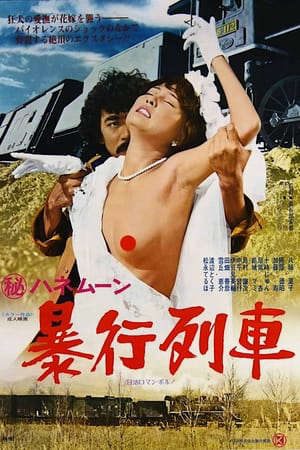 Phim Chuyến Tàu Hãm Hiếp - Secret Honeymoon Rape Train PhimChill Vietsub (1977)